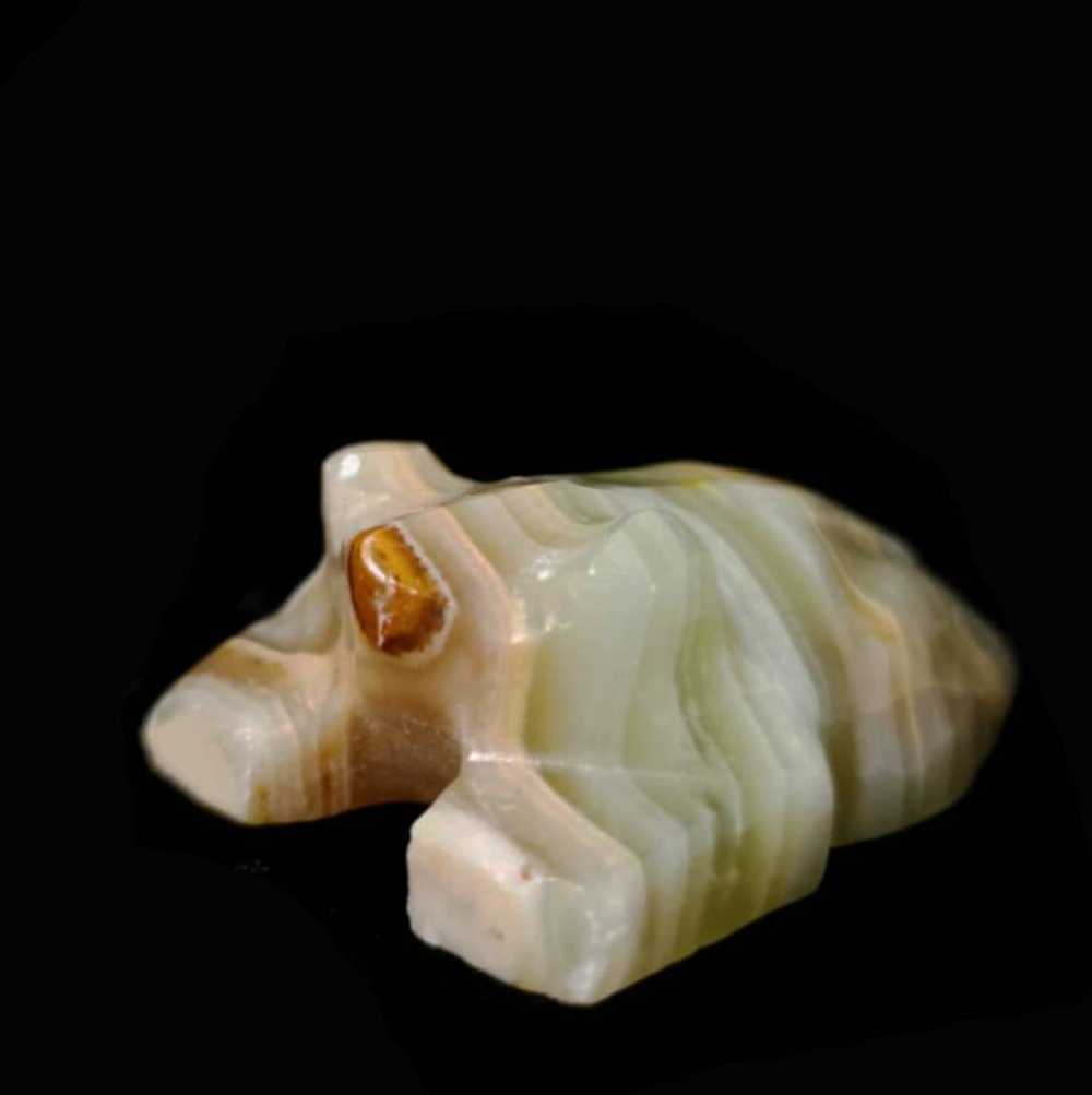 Лягушка оникс асс.