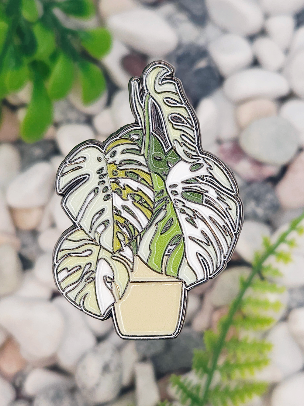 Значок Монстера Альба