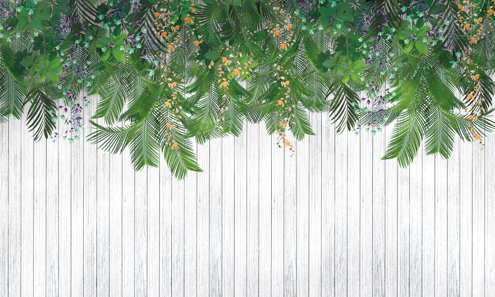 Коллекция Oasis