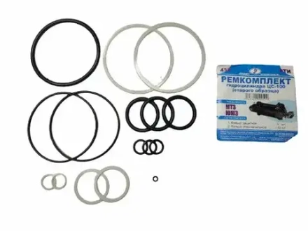 Ремкомплект гидроцилиндра ЦС-100 с/о МТЗ (Руслан-Комплект)