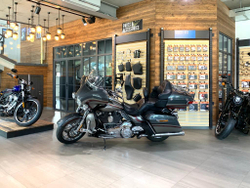CVO Limited 2015