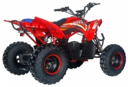 Электроквадроцикл MOTAX E-PENTORA 1500W