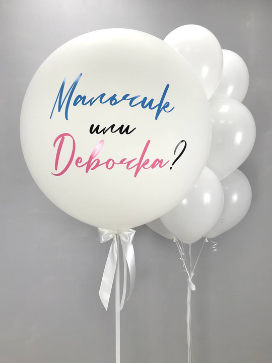 Композиция "Гендер вечеринка" (шар без наполнения)