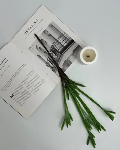 Молочай / Арт 8014