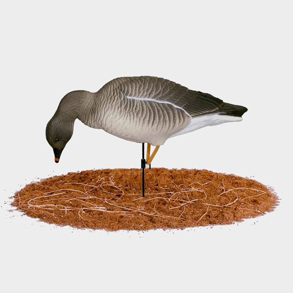 Гусь гуменник Duck Mania "ALFA"