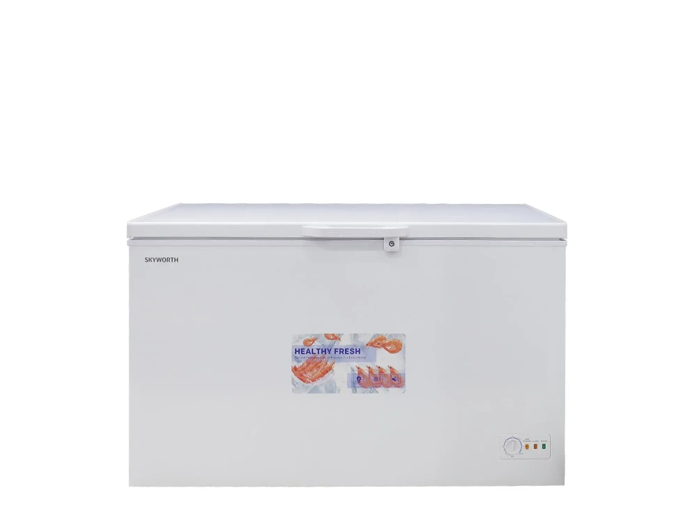 Սառցարան SKYWORTH BD-500