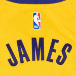 Баскетбольная детская джерси Nike Boys Icon Swingman Jersey Los Angeles Lakers Lebron James