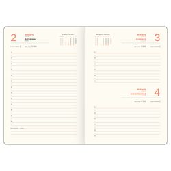 Ежедневник датированный А5 176 л., твердый переплет, кожзам, BG "Python. Bronze" (DdА5_09398)