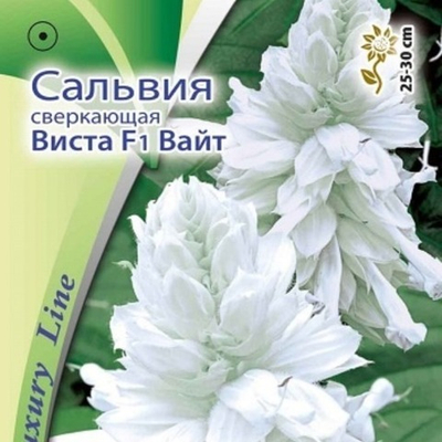 Сальвия сверкающая Виста Вайт F1