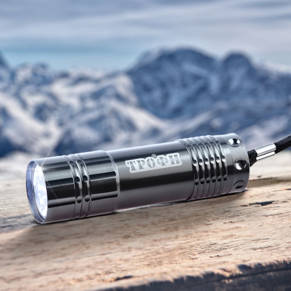 Светодиодный фонарь Трофи TM9 ручной на батарейках алюминиевый | Универсальные  фонари
