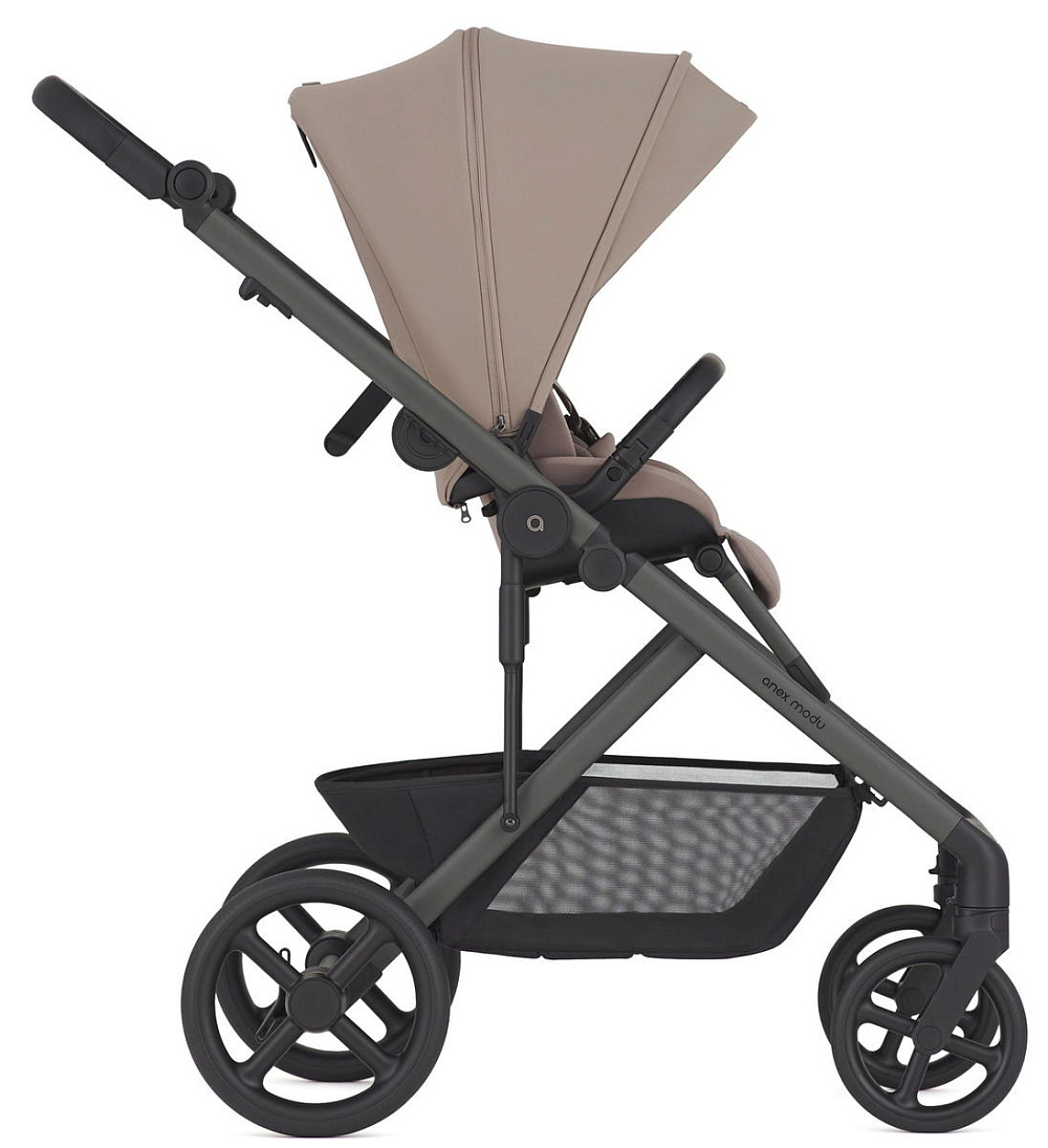 Детская коляска Anex Modu 2 в 1 Rooty