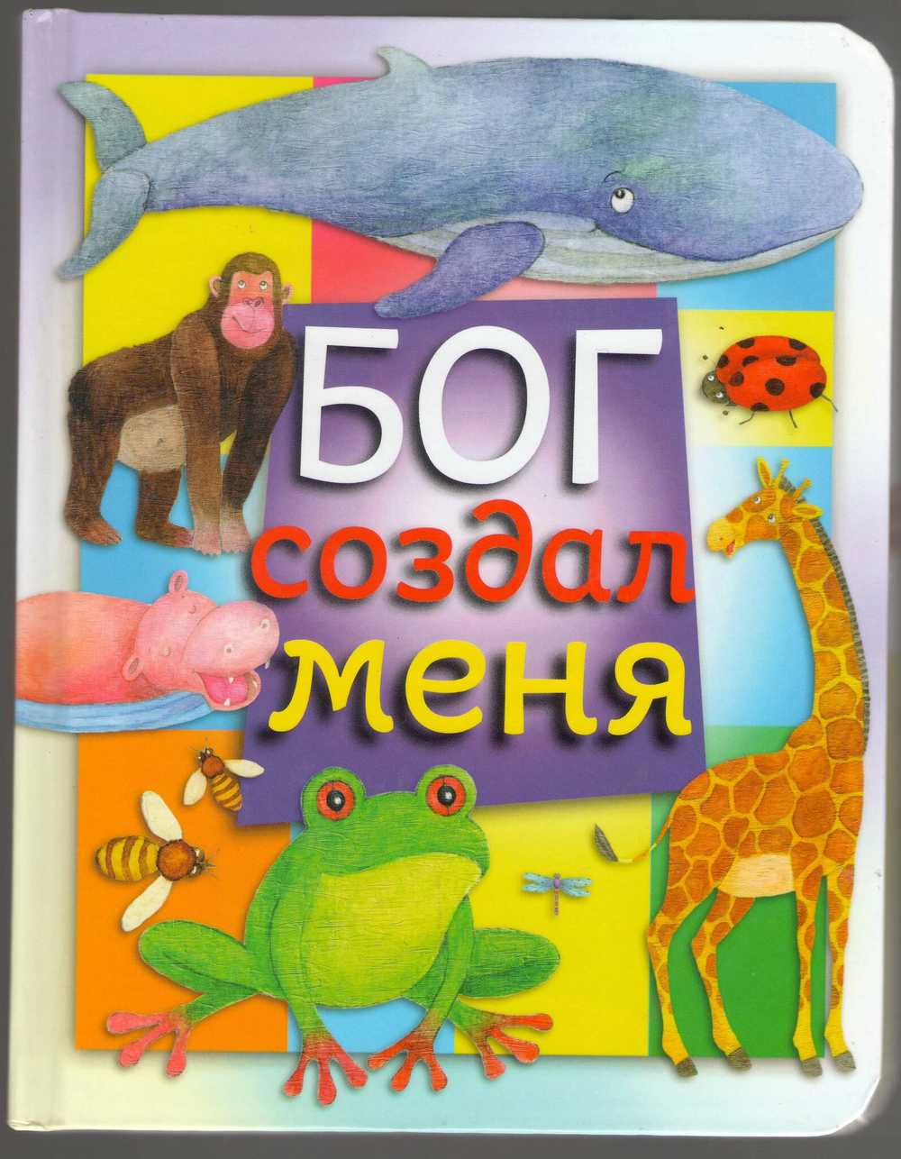 Бог создал меня
