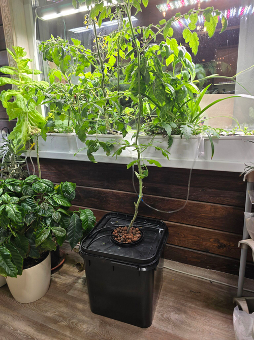 Система выращивания гидропоники АГРОЛО КУБ Оптимум Соло с помпой и аэратором