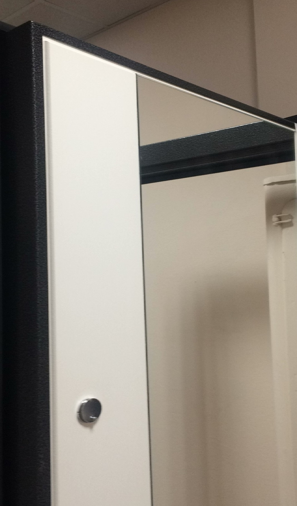 Входная сейф-дверь с зеркалом Аргус Люкс Про 3К Вояж белое дерево / Черный шелк
