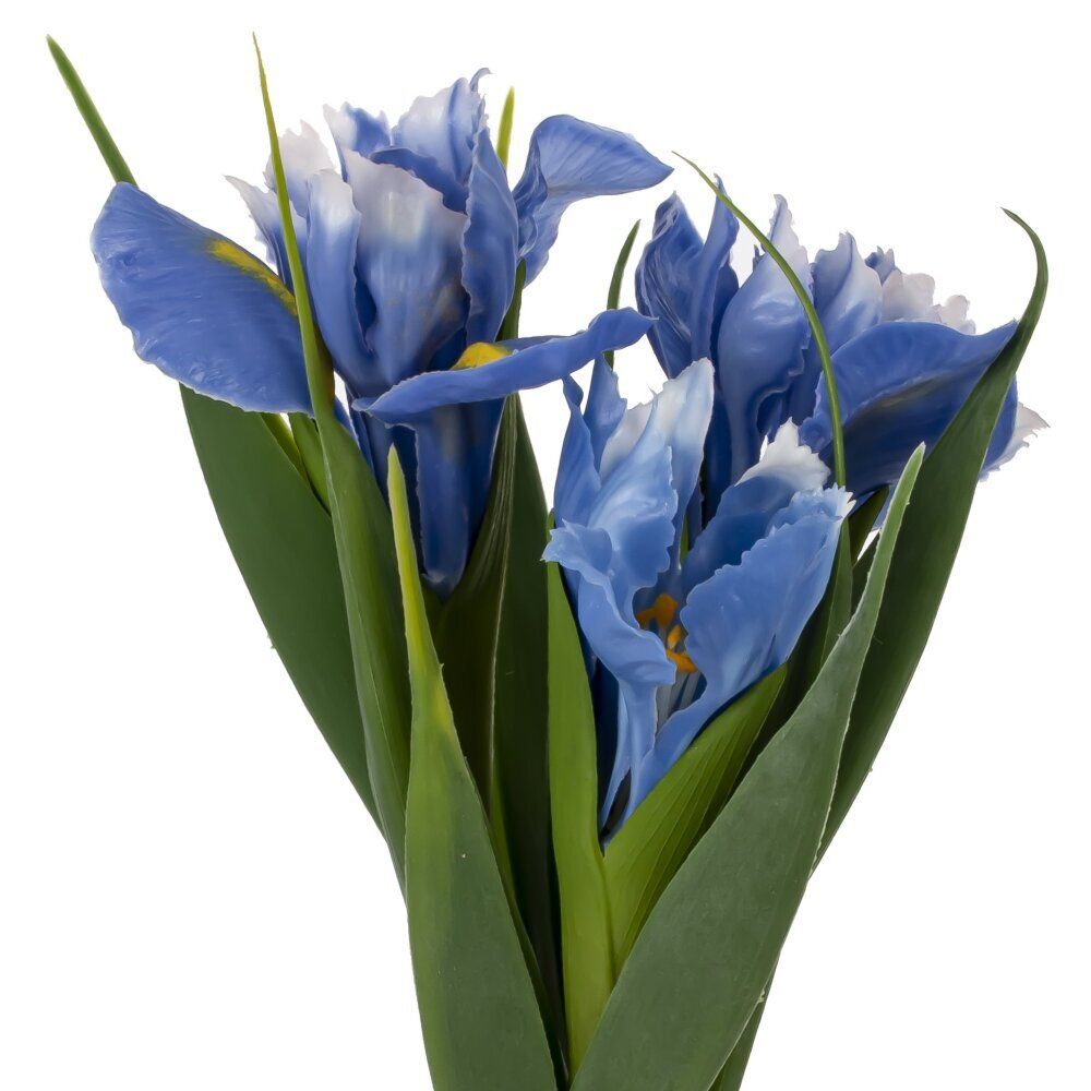 GAEM Цветочная композиция "Ирисы", L12 W12 H28 см