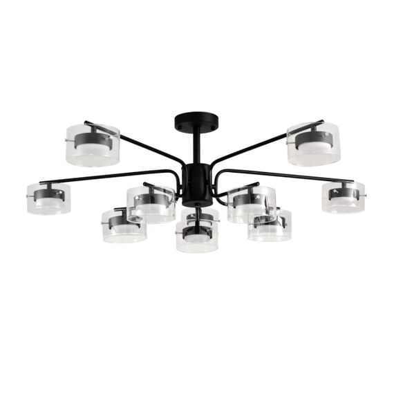 Люстра Lumion NATALINA 8349/10C