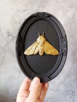 Барельеф на стену из гипса Мотылек