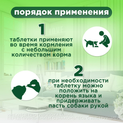 Таблетки от гельминтов и лямблий, профилактика дирофиляриоза для собак крупных пород Фенпраз Форте XL, 6 таблеток