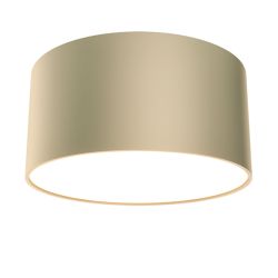 Потолочный светодиодный светильник Maytoni Zon C032CL-L12MG3K