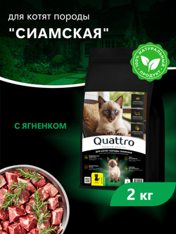 Корм сухой для котят породы Сиамская, с ягненком, 2кг, QUATTRO