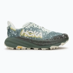 Кроссовки для бега HOKA Speedgoat 6 GTX sea flass/fern