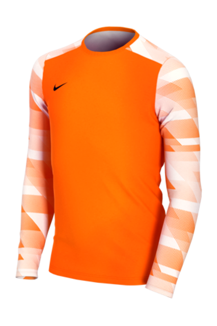 Вратарская кофта Nike Dry Park IV LS GK Детская