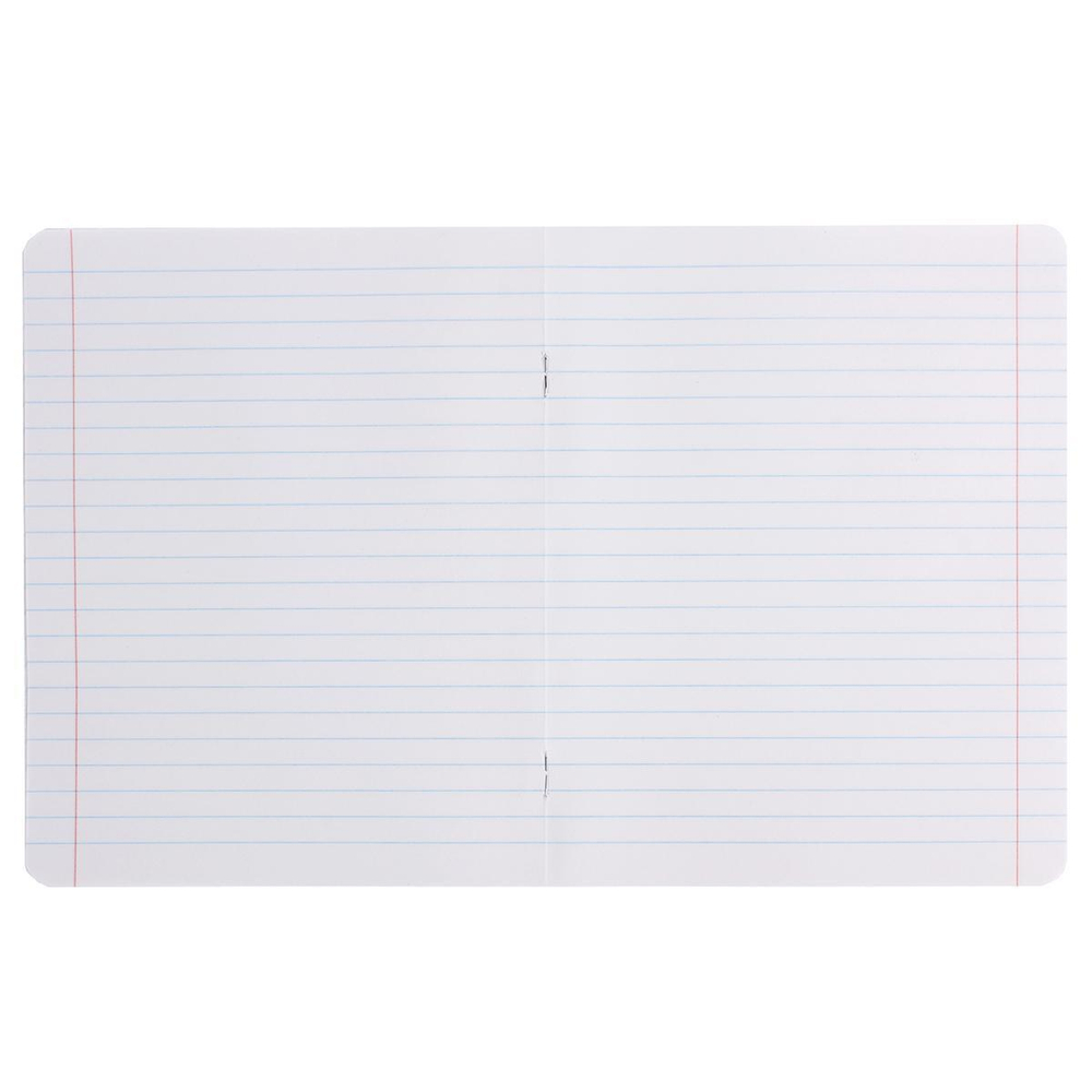 Комплект тетрадей А5 12л. линия 10шт микс (Проф-Пресс)