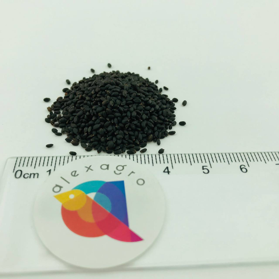 ЛЕМОНА семена базилика Enza Zaden купить – фото 4