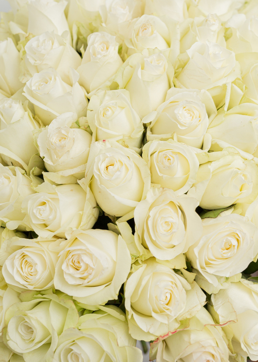 Букет из белых роз #101