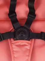 Коляска детская RANT "ACTION" RA301 Cloud pink (Coral)