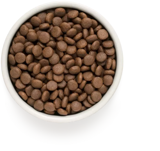 Grandorf Сухой корм для собак средних и крупных пород Ягненок и Индейка