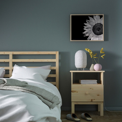 IKEA BILD  (ИКЕА БИЛД)  -  Плакат, Подсолнух, 40x50 см