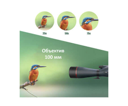 Зрительная труба SVBONY SV406 25–75x100 WP - фото 4