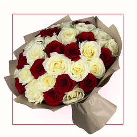 Предложение дня