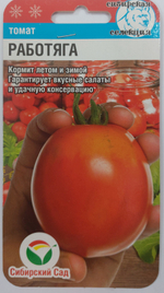 Томат Работяга 20 шт СМТ60