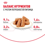 Royal Canin British Shorthair Adult Корм консервированный в соусе для взрослых кошек 85г