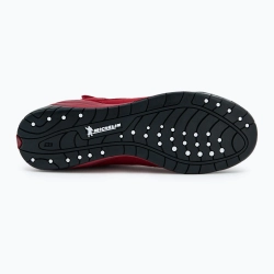 Боксёрки Everlast Elite 2 красные