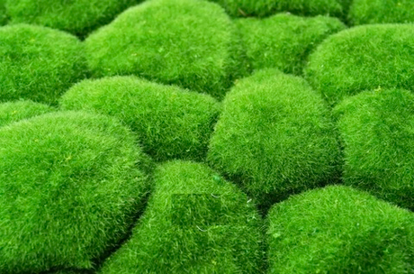 Коврик мха с кочками 100*100см (вид 1)