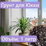 Грунт для Юкки, 1 литр