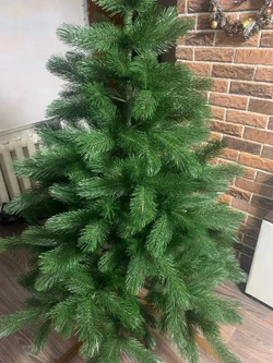 Сосна Царь елка Триумфальная 210 см ТМ-210