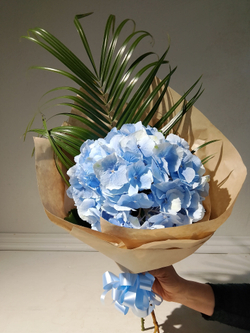 Комплимент с гортензии небесно-голубого цвета (М0030)