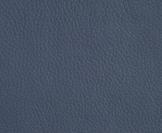 Искусственная кожа Oregon (Орегон) 15