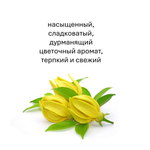 Иланг-Иланг, кубики восковые для ароматизации, 10 штук