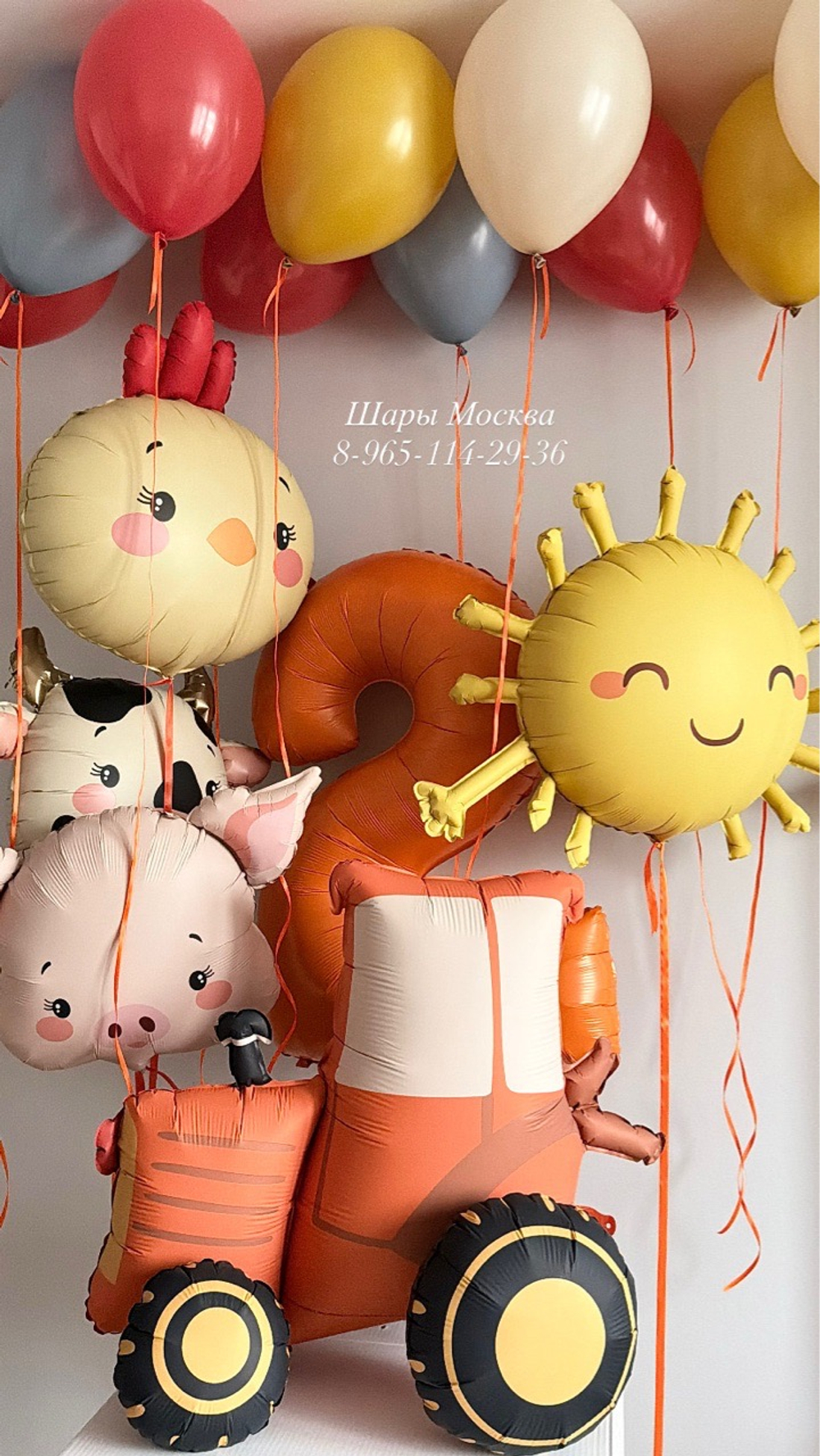 Воздушные шары для малышей ферма