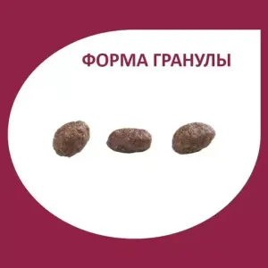 GRANPLUS DOG сухой корм для взрослых собак мелких пород индейка и рис