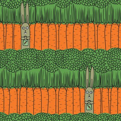 морковки и зайки