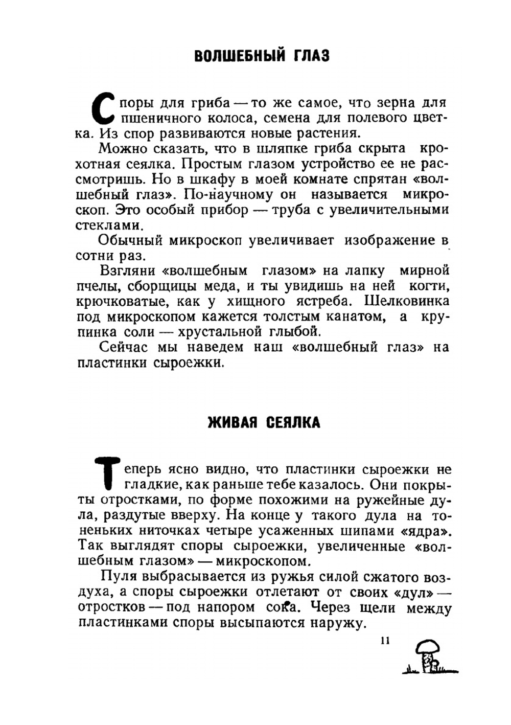 Полное лукошко | Н. Надеждина