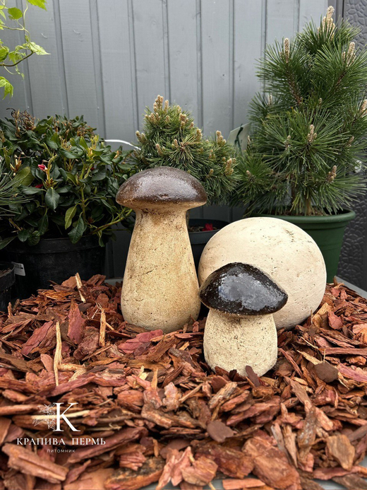 Кора сибирской лиственницы фракция 4-6 см Закупка М68 апрель 2026