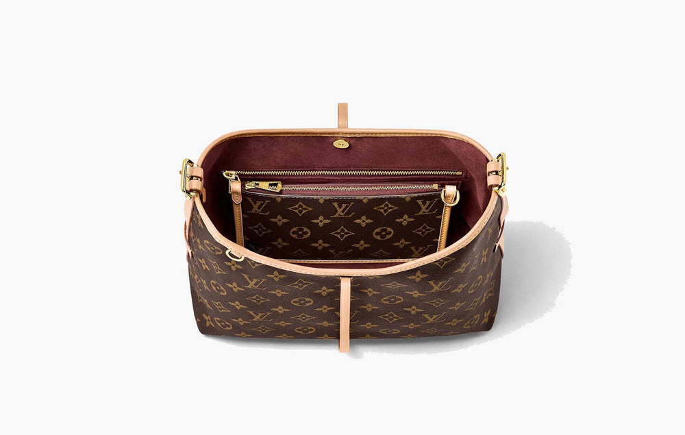Сумка Louis Vuitton CarryAll PM "Monogram"