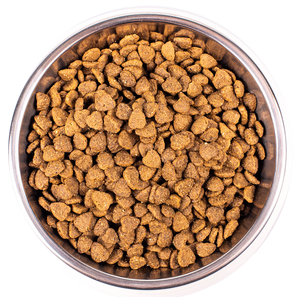 Monge Cat Indoor корм для домашних кошек с курицей, 400г